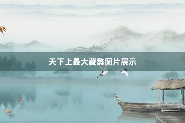 天下上最大藏獒图片展示
